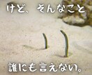 歳の差婚の後悔や愚痴、なんでもお聞きします 聞いてほしいこと、なんでも言ってください イメージ5