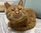 あなたの不安な気持ちに寄り添います おなたのお悩み、話すだけでも心が軽くなるお手伝い イメージ1