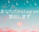 あなたのInstagramを宣伝します 宣伝に困っている方へ全力で力になります イメージ1