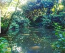カウンセラーがメッセージで相談に乗ります 日常の些細な悩みから精神的なストレスまでOK イメージ1