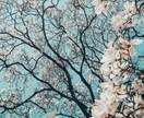 春分リーディング✨あなたの宇宙新年ポータル開きます 20日まで【限定】春分から芽吹き、花開く種を受け取れます イメージ7