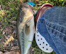 バス釣りをしている人へ、釣果の上げ方教えます バス釣りをひたすら続けてきたのでノウハウを全て伝えたいです。 イメージ4