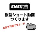 SNS用動画広告作ります 元大手人材会社クリエイティブグループ所属 イメージ1