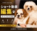 リール・TikTok対応|ショート動画編集します カット編集・テロップ・BGM挿入まで対応 イメージ7