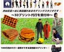業務用カラー3Dプリンターで出力いたします 1000万色のカラー造形が可能です✨ イメージ1