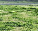 友達感覚で色々聞きます なんでも話しましょ♩聞いてほしい人おいでー♩ イメージ2
