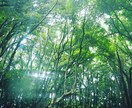 今、あなたに必要なメッセージをお伝えいたします ～新しい道を切り開きたい方へ～ イメージ1