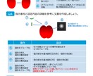 学習教材イラスト マップなど制作します オリジナル教材を作りたいけれど時間がない方 イメージ5