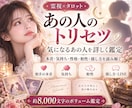 あの人の本音と取説を霊視タロットで詳しく鑑定します 相手の気持ち・本音・性格・相性・接し方まで深く読み解きます イメージ3