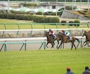 競馬で１着を当てる方法を教えます テレビの競馬中継の馬を当てるコツを教えます。 イメージ1