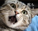そばにいるよ♡ 話したいに 寄添います 心のホコリやチリを吐き出すことを日常に♡ イメージ9