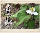 先着3名限定半額！新しい書道アートを書きます 師範が揮毫！好きな写真に好きな文字を重ねるオーダー書道アート イメージ1