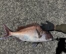 釣りを始めたい方に0から丁寧にアドバイスします 釣りで必要な道具の購入や釣り方を0から丁寧にサポート! イメージ4