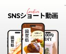 SNS用の1分以内のショート動画編集します 風景やお祭り、お店紹介等のショート動画編集経験あります。 イメージ1