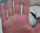 手相を占います 手相の不思議をぜひ体験してください イメージ2