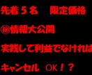 実践して利益なければキャンセルOK！稼ぎ方教えます 5名販売ごとに値上げしていきます！ココナラの実績ないため最安 イメージ1