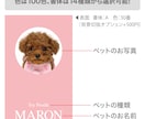 シンプルでかわいいデザインのうちの子名刺を作ります 【両面印刷100枚】送料無料　セミオーダー　QRコード入り。 イメージ2