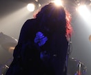ライブ経験者がダークな歌であなたの曲を彩ります 人間独自の震えやダークな雰囲気を求める方に イメージ2