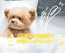 3日間お友達になります 友達感覚で3日間お話しませんか♫リアル優先で気軽におしゃべり イメージ1