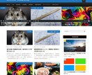 WordPressサイトの構築を代行致します 先着3名様限定！低価格でPRや副業にトライしてみませんか？ イメージ7