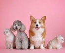 どんな事でもOK！寄り添ってお話聞きます 何話そうかな？決まっていなくても大丈夫！タロット占いもOK イメージ2