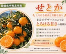 売れるPOP画像を作成します 思わず手に取る一枚に仕上げます イメージ1