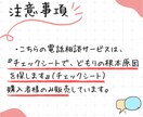 チェックシートによる相談のアフターサポートをします 【※チェックシートご購入の方限定で販売いたします】 イメージ2