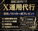 Xを1ヶ月運用代行｜アカウント診断分析し改善します 購入でプレゼント｜使用AIプロンプト&運用後も使えるノウハウ イメージ1