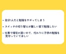 現役薬学生、あやがあなたの自習をサポートします カメラonでサボれないオンライン自習室です！ イメージ3
