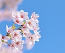チャットで気軽に☘️心のデトックスお手伝いします 話すのが苦手...でも大丈夫✨ イメージ9