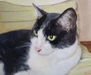 ペット　人物　本物の油絵をオーダーで制作します ご自宅用また各種プレゼント用に油絵を制作致します。 イメージ6