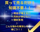 ３ステップ転売　限定販売します 転売で悩む全世代に【自分で稼ぐ力】を手に入れてもらいます！ イメージ2