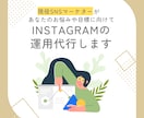 実績100名以上！SNS運用代行をします Instagram,X,Tiktok運用対応可能です イメージ1
