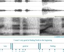 音声分析ソフトを使用しシャドーイングの添削をします 音声・発音の専門家がPraatで英語の発音を添削します イメージ1