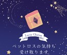 ペットロスのあなたの心のメッセージ受け取ります ペットロスで感じているやるせない思いを私に送ってください イメージ1