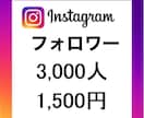 Instagramフォロワー3,000人増やします Instagram高品質フォロワー3,000人増加 イメージ1