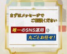 SNSのプロの会社が本格的なインスタ運用代行します フォロワー増＆売上UPを両立！戦略から編集まで対応 イメージ5