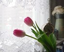 愚痴もOK！愚痴を聞きながら、鑑定もします 占いもしたいけど、愚痴も聞いて欲しいんです。。。 イメージ1