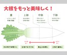野菜の紹介pop描きます 直売所での経験を活かし、わかりやすく可愛いpopを作ります イメージ4