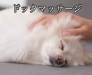 ワンちゃんとのハッピーライフを送るお手伝いします あなたのドッグライフを応援！ドッグマッサージしましょう イメージ1