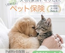 ペット専門！インスタ・SNS投稿画像制作します 動物病院やペットショップの集客に！目を惹くデザイン イメージ3