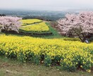 精神科疾患・心の病の相談乗ります 精神科疾患・心の病で悩んでいる方へ イメージ1