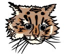 ペットのイラストを作成します イラストから多方面への活躍、アイコンやグッズ作成に！ イメージ1