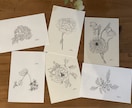 植物のペン画描きます 添付の画像のようなイラストを描きます。 イメージ2