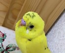 キャッチーなニックネーム考えます 新しいニックネームで気になる人と距離を縮めたいあなたへ イメージ1