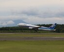 撮影した旅客機（ANA様）の写真を提供します あなただけのための飛行機写真を提供します。 イメージ3