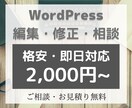 Webサイトの修正・コンテンツ追加承ります 小まめな進捗報告、綿密なコミュニケーションを通を徹底します。 イメージ1