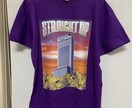 Tシャツやパーカー等へDTGorDTFで印刷します データはjpeg.png！iphoneで作ったデータも可能 イメージ3