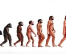 対人関係のお悩み解決に努めます 素直に生きたい人のお手伝い。自分らしく生きよう❗️ イメージ1