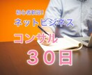 ネットビジネスで稼ぐ為の本気コンサル！３０日します 本気の人だけ来てください！３０日みっちりコンサル致します！ イメージ1